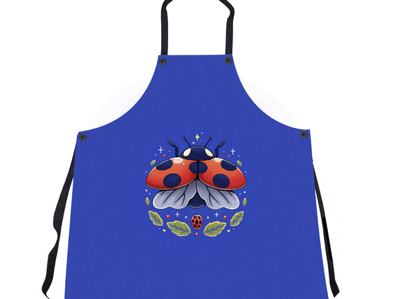 Ladybug Magic