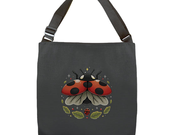Ladybug Magic