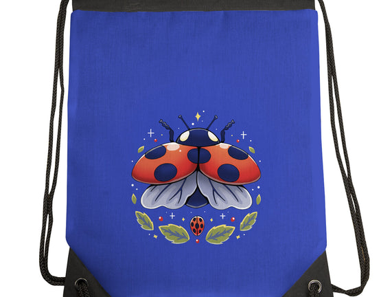 Ladybug Magic