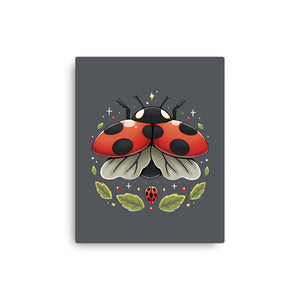 Ladybug Magic