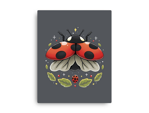 Ladybug Magic
