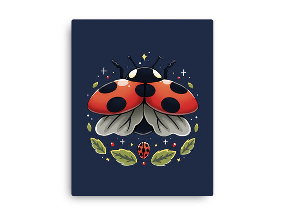 Ladybug Magic
