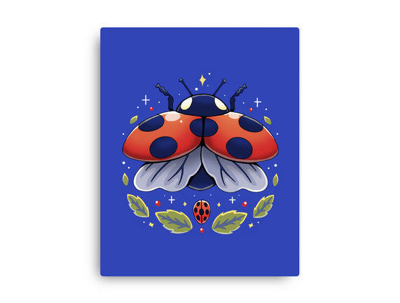 Ladybug Magic