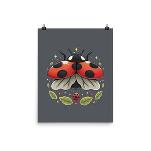 Ladybug Magic