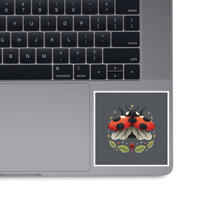 Ladybug Magic