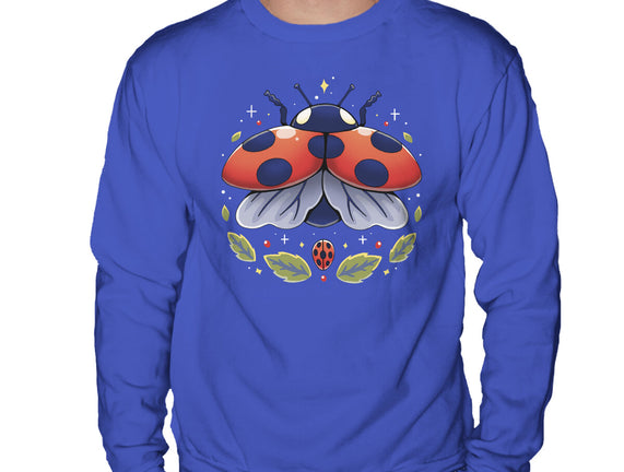 Ladybug Magic