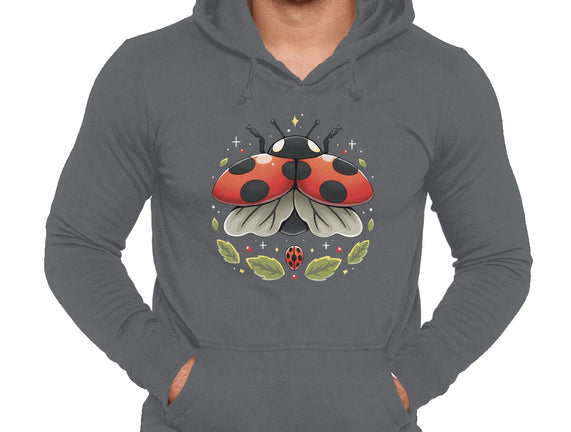 Ladybug Magic