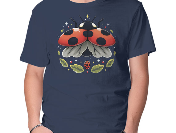 Ladybug Magic