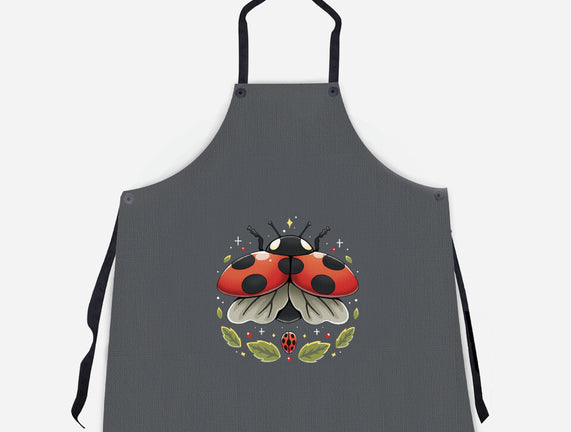 Ladybug Magic