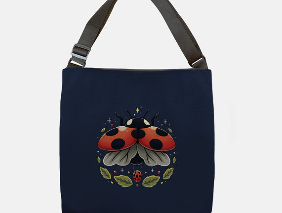 Ladybug Magic