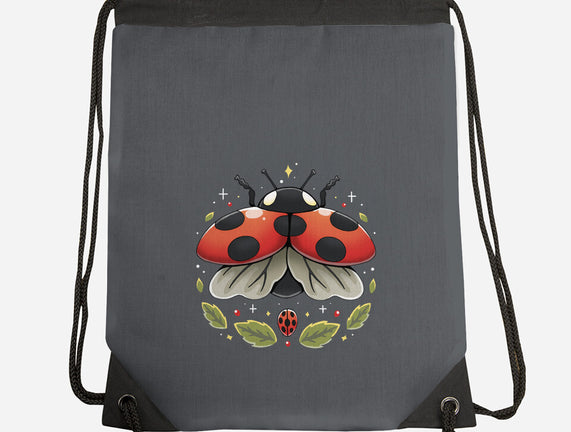 Ladybug Magic