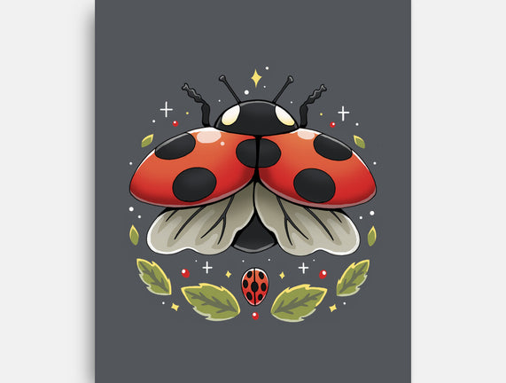 Ladybug Magic