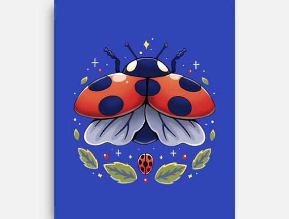 Ladybug Magic