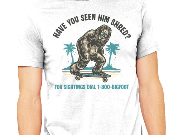 Have You Seen Him Shred