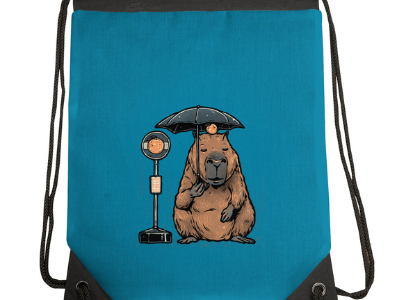 Capybara Bus Stop