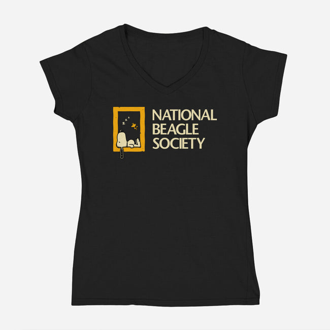 National Beagle Society-Womens-V-Neck-Tee-retrodivision