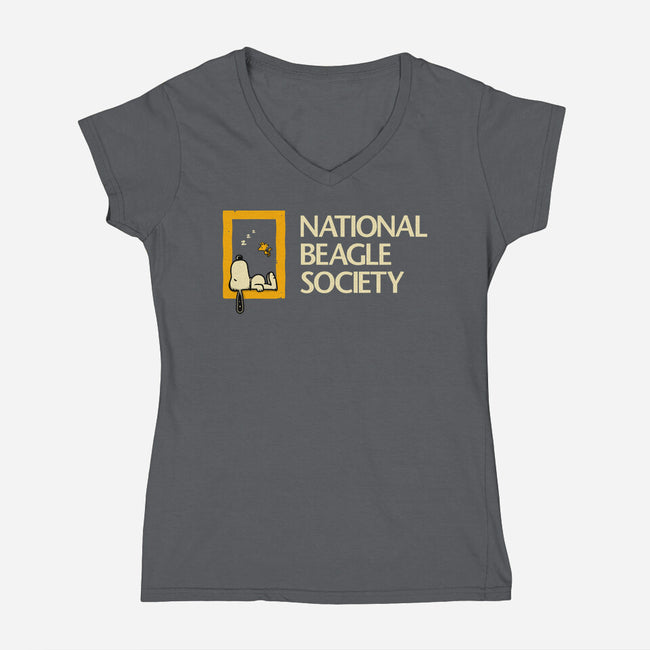 National Beagle Society-Womens-V-Neck-Tee-retrodivision