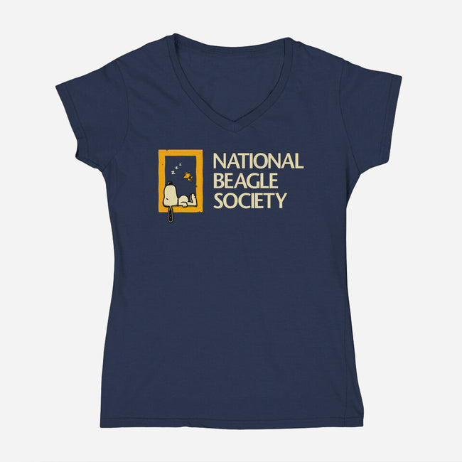 National Beagle Society-Womens-V-Neck-Tee-retrodivision