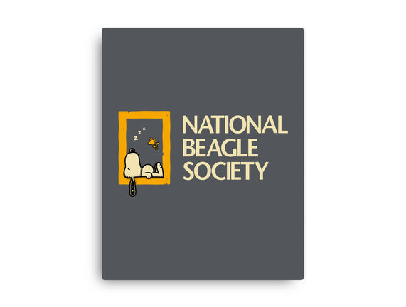 National Beagle Society