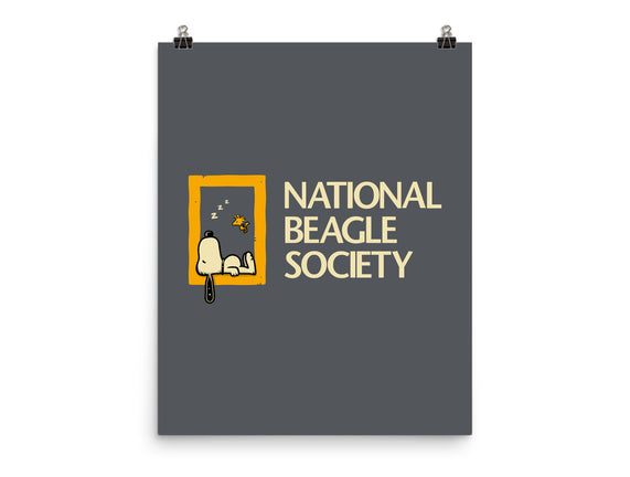National Beagle Society