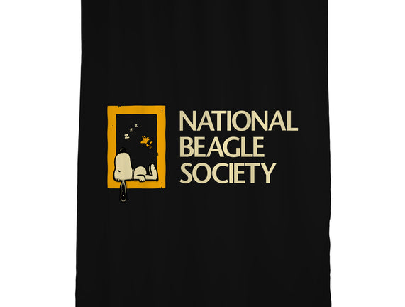 National Beagle Society