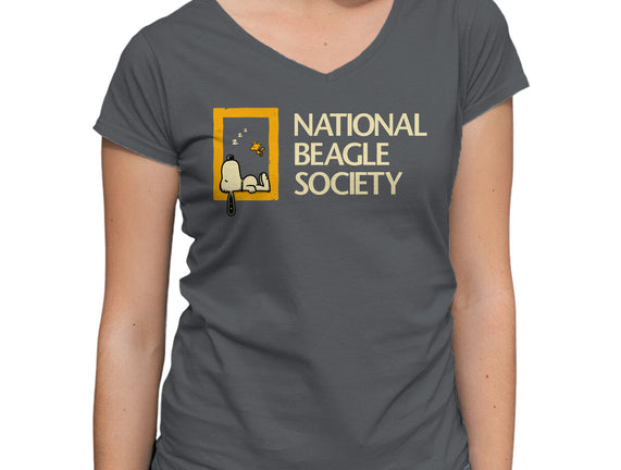 National Beagle Society