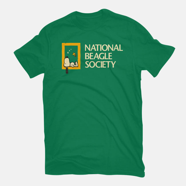 National Beagle Society-Womens-Basic-Tee-retrodivision