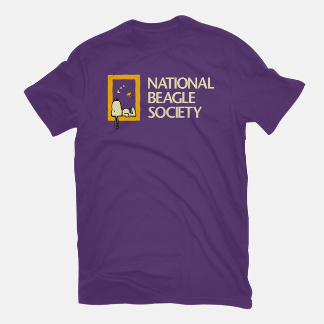 National Beagle Society-Womens-Basic-Tee-retrodivision