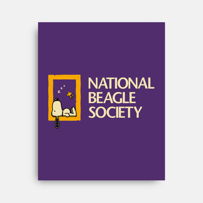 National Beagle Society-None-Stretched-Canvas-retrodivision
