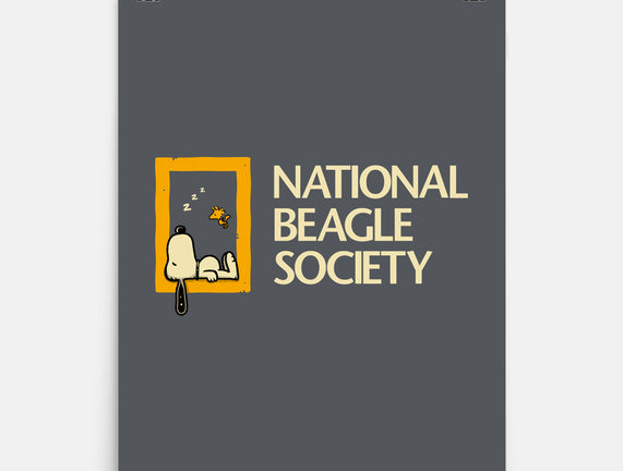 National Beagle Society