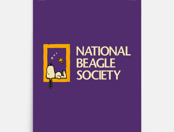National Beagle Society