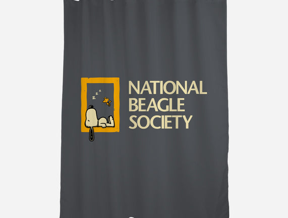 National Beagle Society