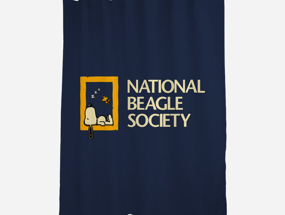 National Beagle Society