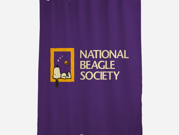 National Beagle Society