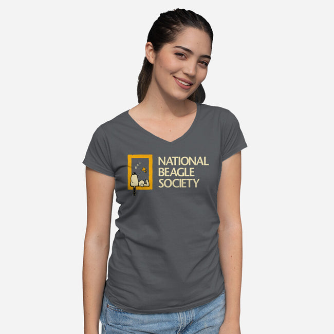 National Beagle Society-Womens-V-Neck-Tee-retrodivision