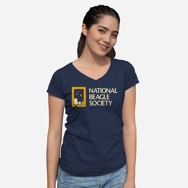 National Beagle Society-Womens-V-Neck-Tee-retrodivision