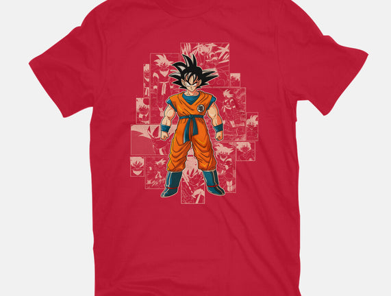 Dragon Hero