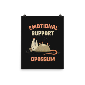 Emotional Support Opossum