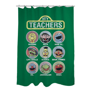 My Teachers Were Puppets