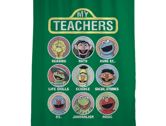 My Teachers Were Puppets