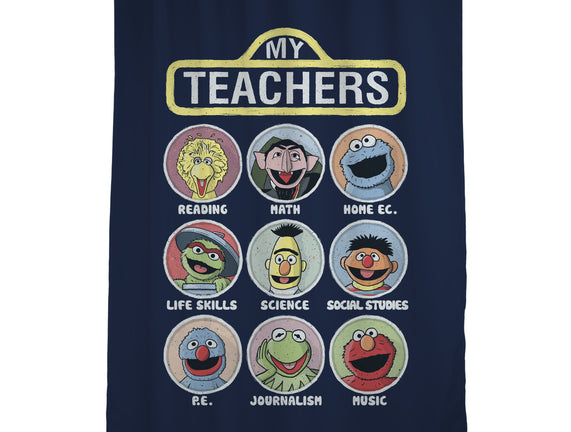 My Teachers Were Puppets