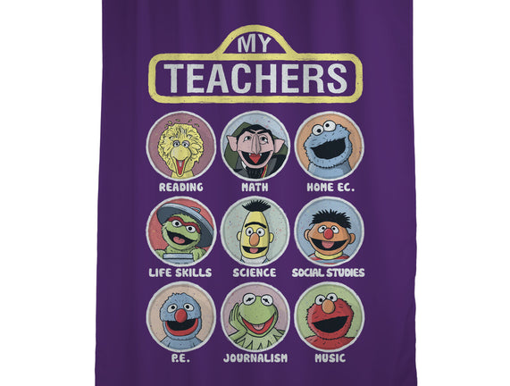My Teachers Were Puppets
