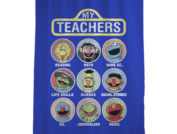 My Teachers Were Puppets