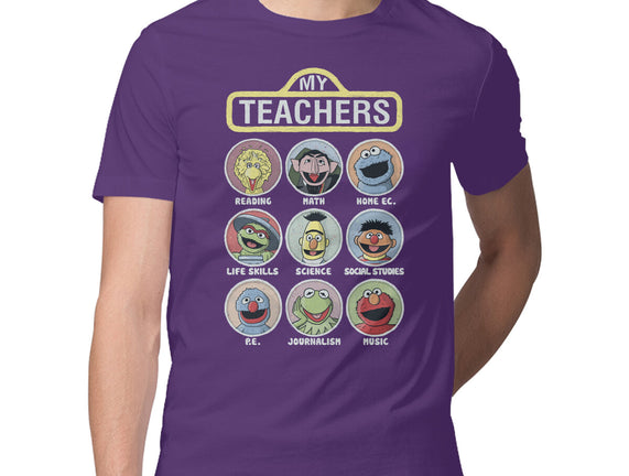 My Teachers Were Puppets