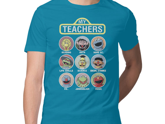 My Teachers Were Puppets