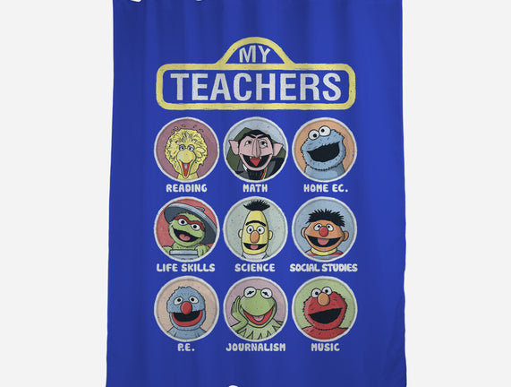 My Teachers Were Puppets