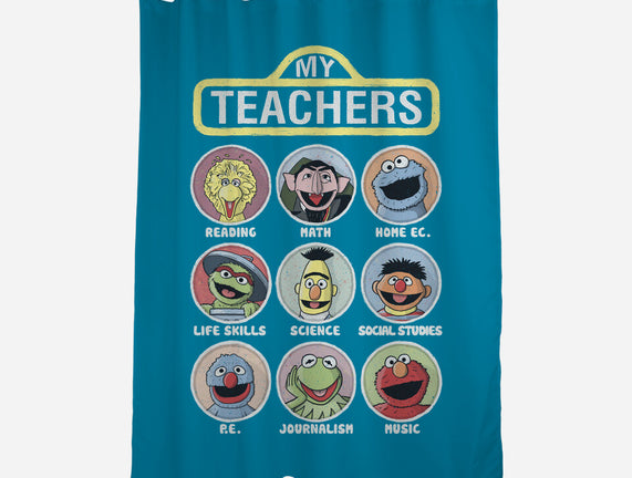 My Teachers Were Puppets