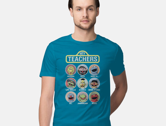 My Teachers Were Puppets