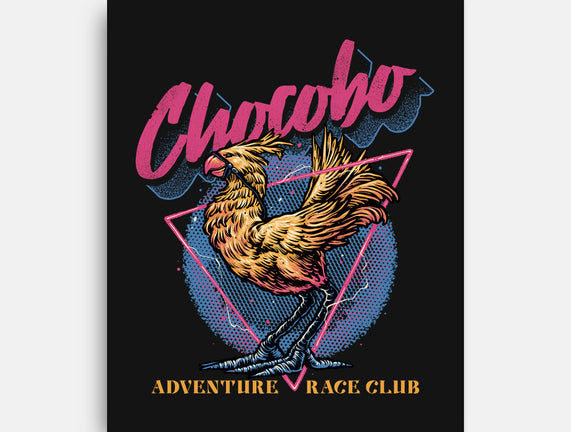 Adventure Racing Club