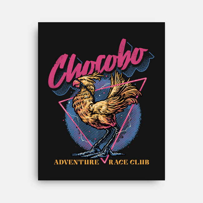 Adventure Racing Club-None-Stretched-Canvas-glitchygorilla